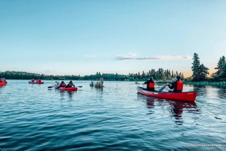 Exploring Elk Island: Edmonton’s Wilderness Escape